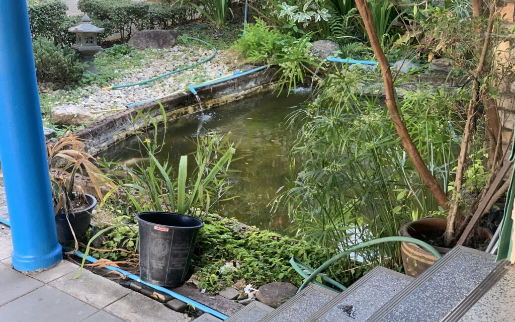 池の防水シート比較|EPDM・PVC・コンクリート防水